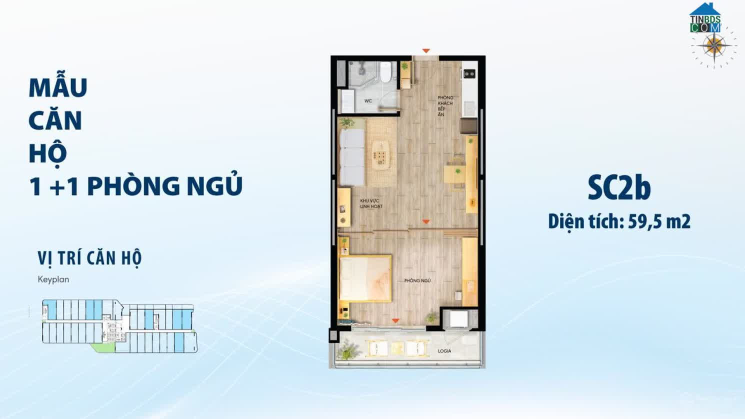 Ảnh dự án TTC Plaza Đà Nẵng 9