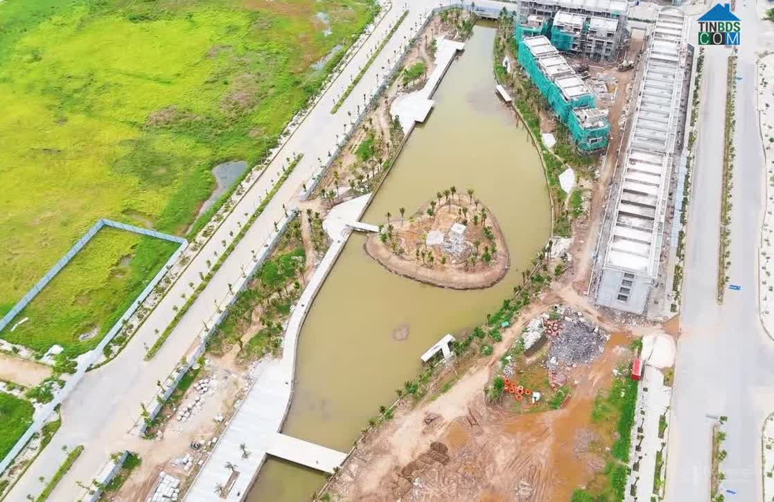 Ảnh Bạch Đằng 1288 9
