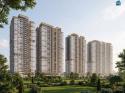 Dự án Marquee Homes