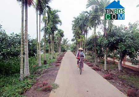 Hình ảnh Vĩnh Thuận Đông, Cần Thơ