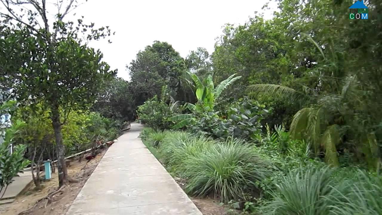 Hình ảnh Nhơn Mỹ, Cần Thơ