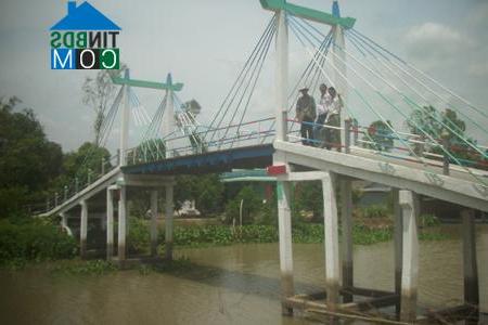 Hình ảnh Đông Thuận, Cần Thơ