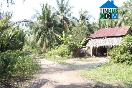 Hình ảnh Lương Tâm, Cần Thơ