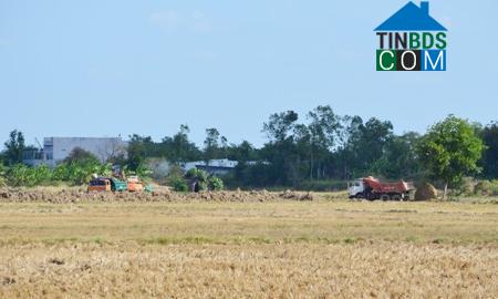 Hình ảnh Mỹ Xuyên, Cần Thơ