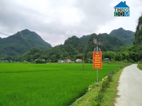 Hình ảnh Hà Quảng, Cao Bằng