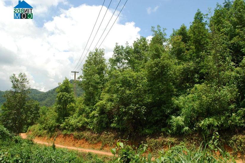 Hình ảnh Canh Tân, Cao Bằng