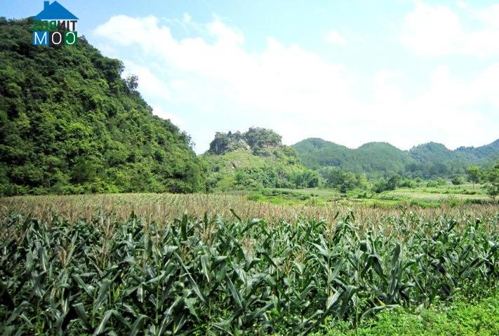 Hình ảnh Đàm Thủy, Cao Bằng