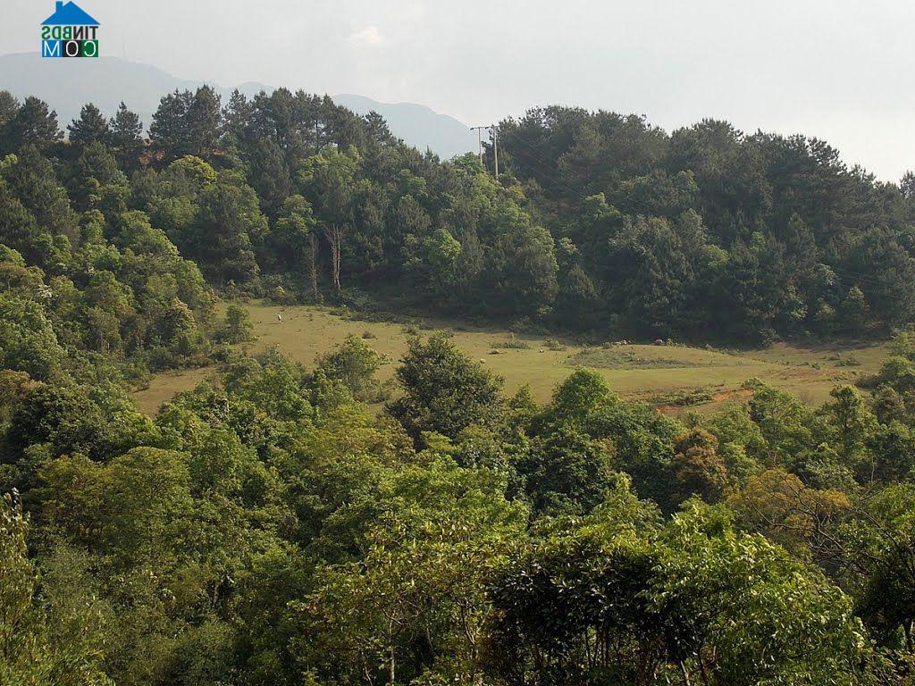 Hình ảnh Thành Công, Cao Bằng