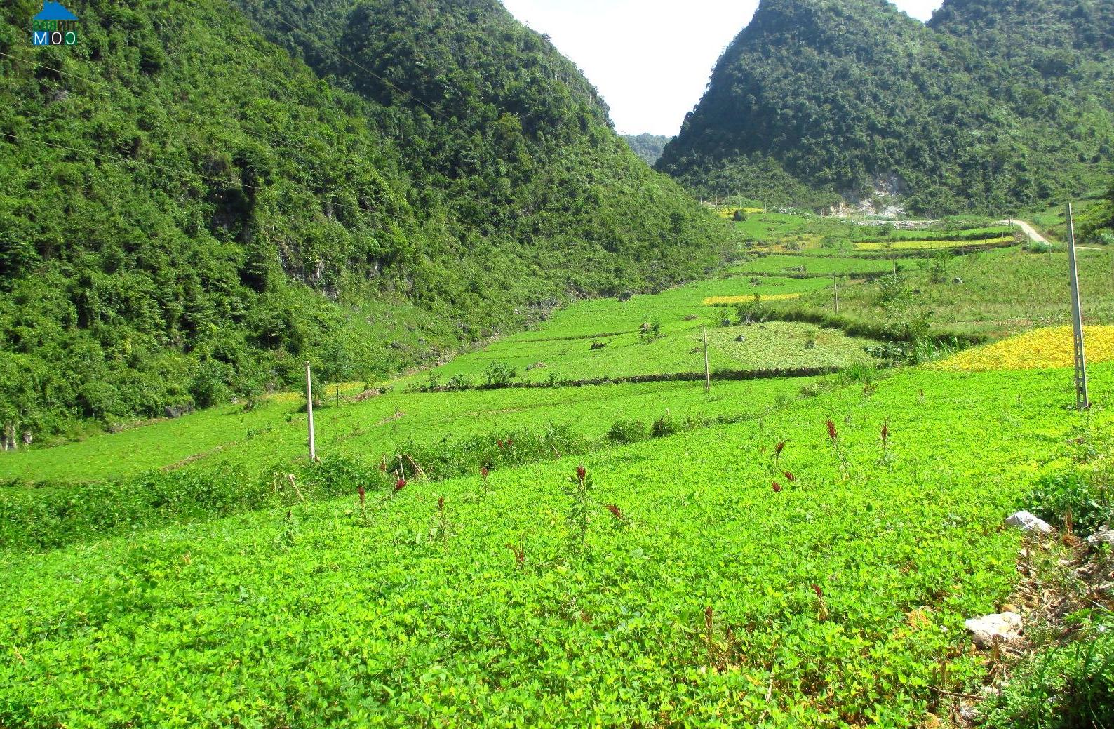 Hình ảnh Tổng Cọt, Cao Bằng