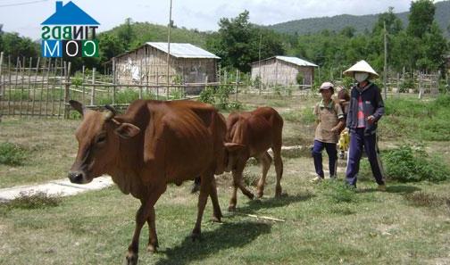 Hình ảnh Xuân Lãnh, Đắk Lắk