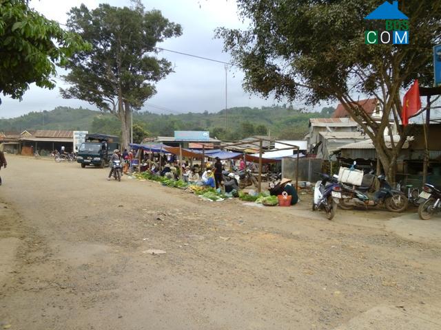 Hình ảnh Yang Mao, Đắk Lắk