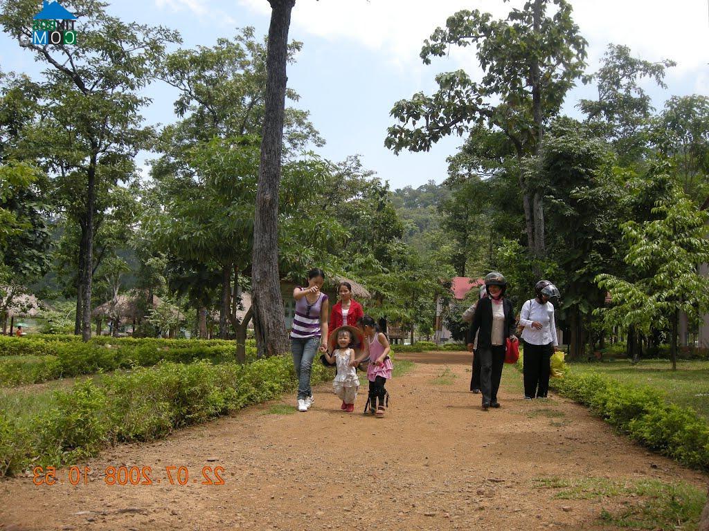 Hình ảnh Buôn Đôn, Đắk Lắk