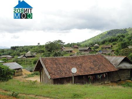 Hình ảnh Cư M’ta, Đắk Lắk