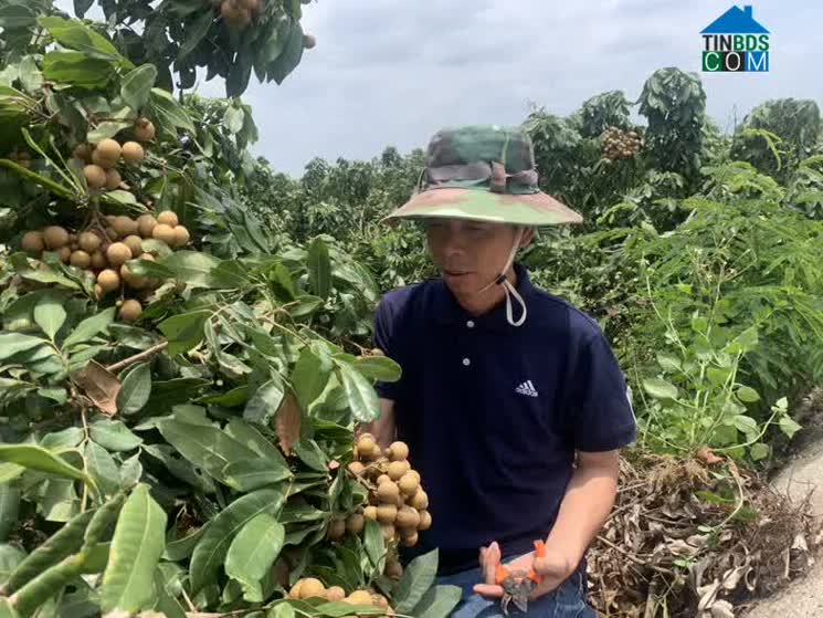 Hình ảnh Cư Prao, Đắk Lắk