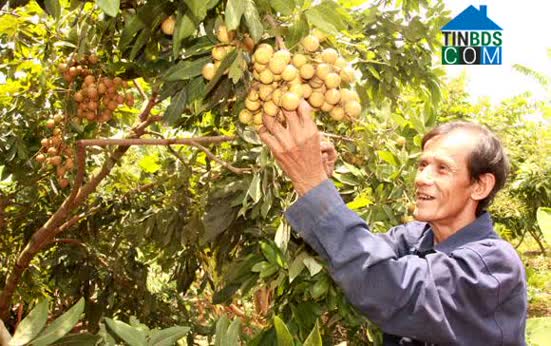 Hình ảnh Ea Bung, Đắk Lắk