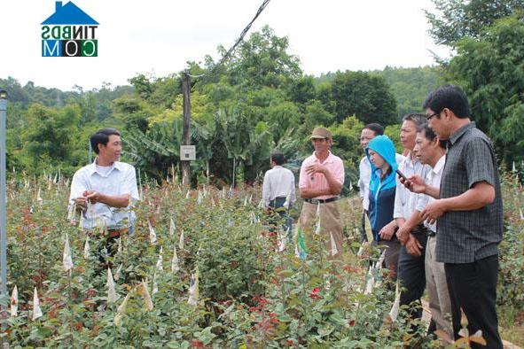 Hình ảnh Ea Kao, Đắk Lắk