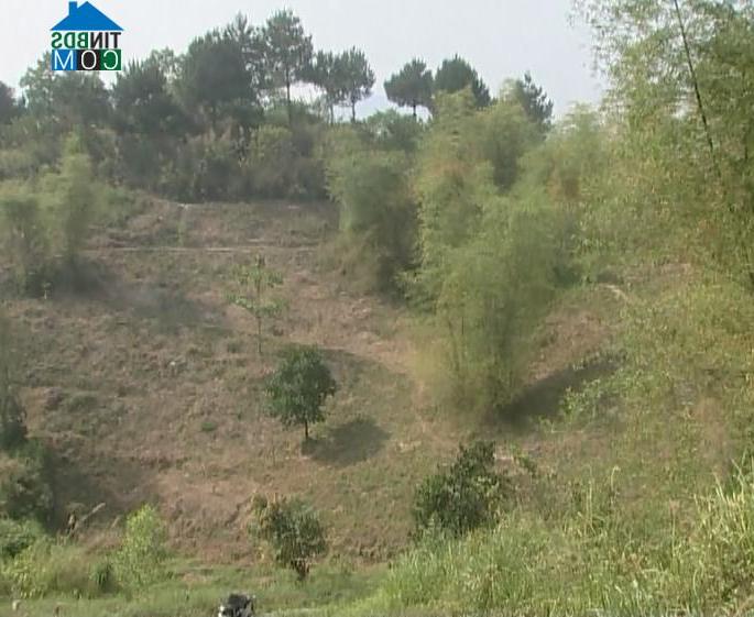 Hình ảnh Điện Biên Phủ, Điện Biên