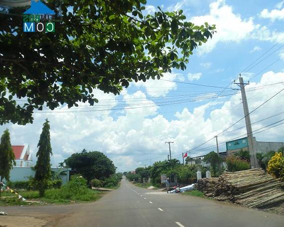 Hình ảnh Sông Ray, Đồng Nai