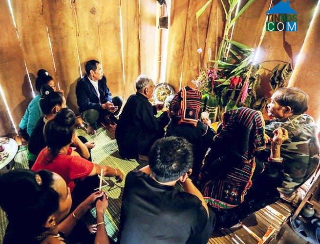 Hình ảnh Pú Nhung, Điện Biên