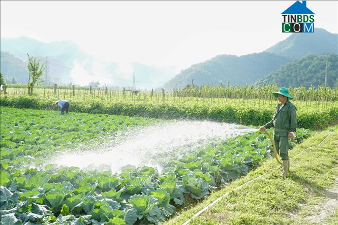 Hình ảnh Sam Mứn, Điện Biên