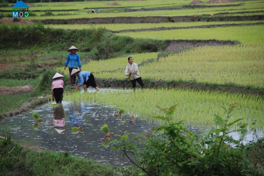Hình ảnh Sáng Nhè, Điện Biên