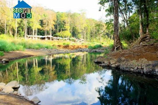 Hình ảnh Bù Gia Mập, Đồng Nai