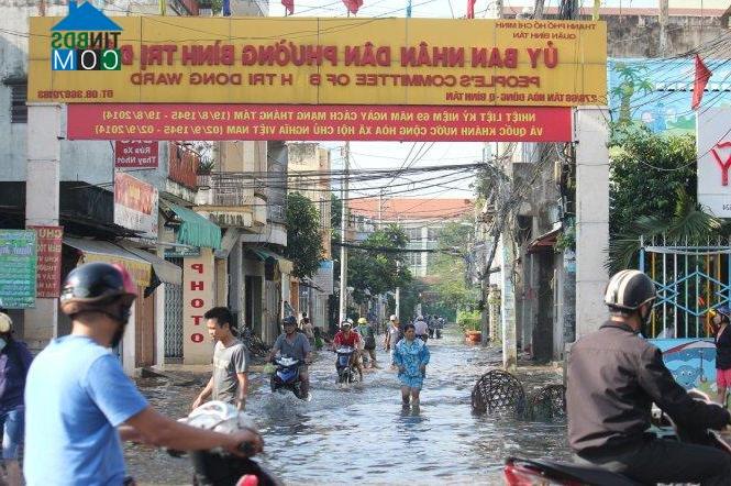 Hình ảnh Bình Trị Đông, Hồ Chí Minh