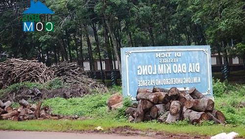 Hình ảnh Kim Long, Hồ Chí Minh