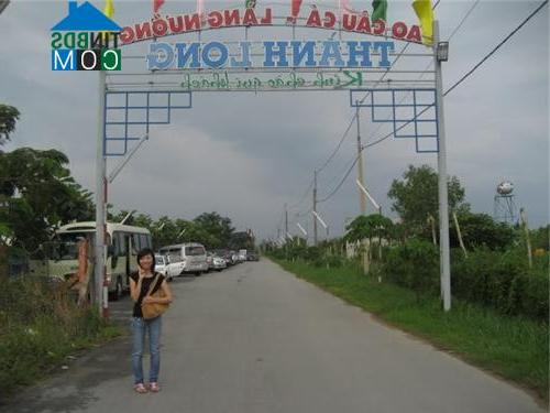 Hình ảnh Bình Hưng, Hồ Chí Minh