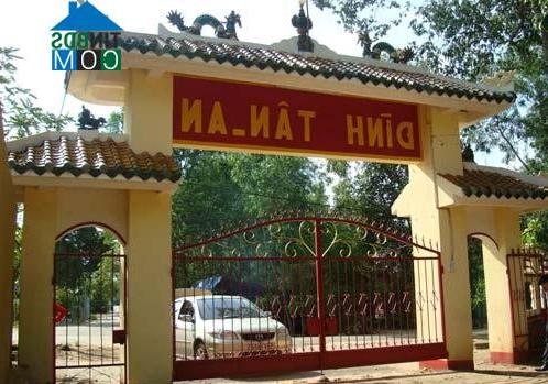 Hình ảnh Phú An, Hồ Chí Minh