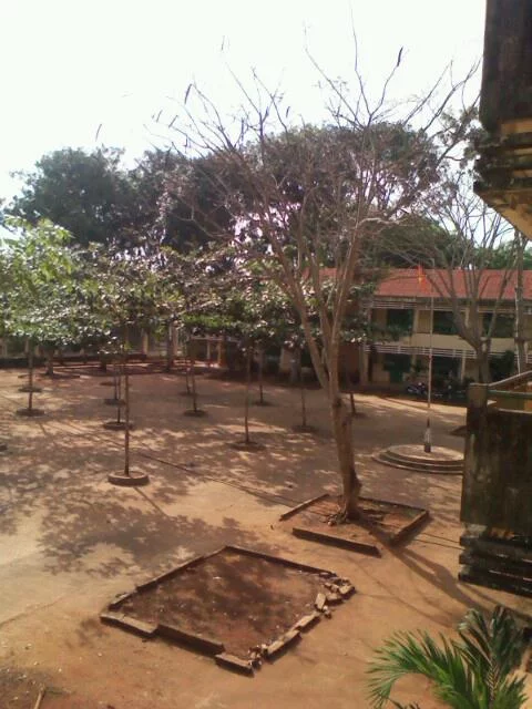 Hình ảnh Bàu Lâm, Hồ Chí Minh