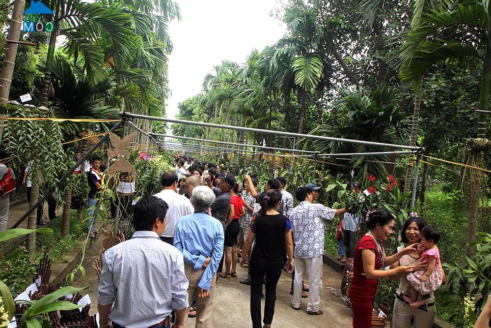 Hình ảnh An Khánh, Hà Nội