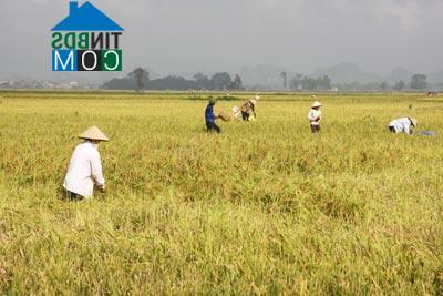 Hình ảnh Hương Sơn, Hà Nội