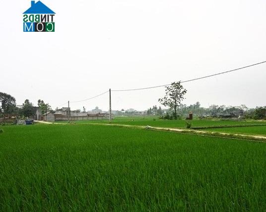 Hình ảnh Phú Nghĩa, Hà Nội