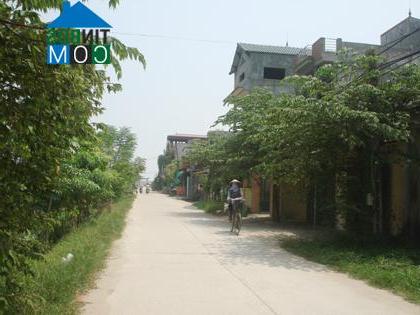 Hình ảnh Tam Hưng, Hà Nội