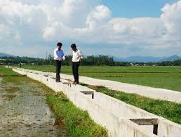 Hình ảnh Vu Gia, Đà Nẵng