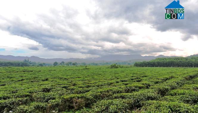 Hình ảnh Bến Hiên, Đà Nẵng