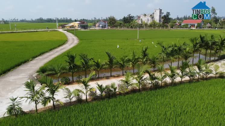 Hình ảnh Quế Sơn Trung, Đà Nẵng