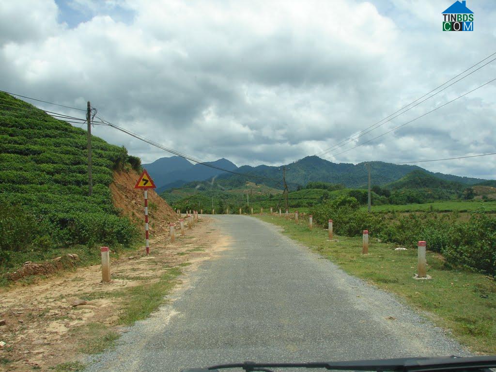 Hình ảnh Sông Vàng, Đà Nẵng