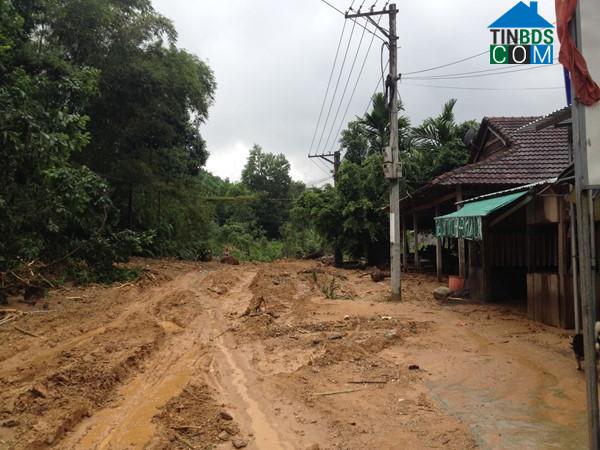 Hình ảnh Nam Trà My, Đà Nẵng