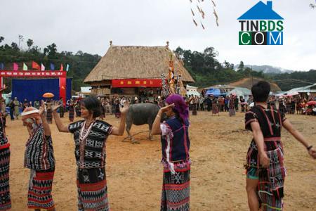 Hình ảnh Tây Giang, Đà Nẵng