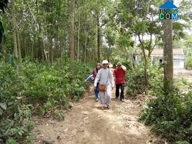 Hình ảnh Thăng Phú, Đà Nẵng