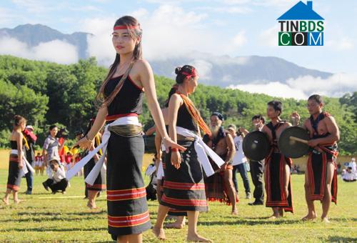 Hình ảnh Trà Đốc, Đà Nẵng