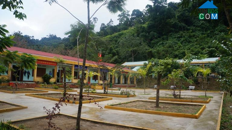 Hình ảnh Trà Leng, Đà Nẵng