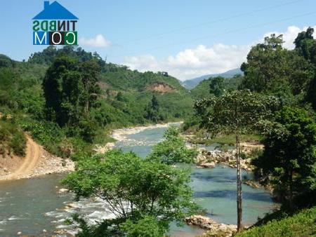 Hình ảnh Trà Tập, Đà Nẵng