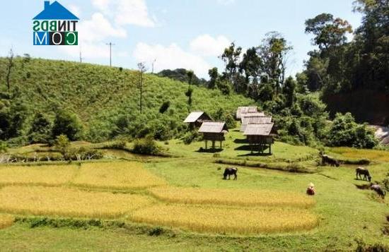 Hình ảnh An Hưng, Hải Phòng