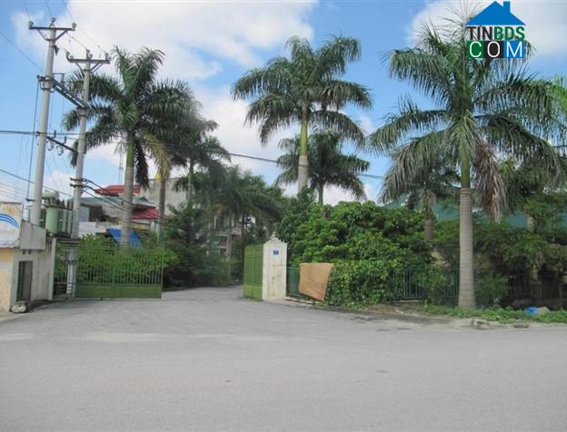 Hình ảnh Tân Hưng, Hải Phòng