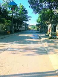 Hình ảnh Thành Đông, Hải Phòng