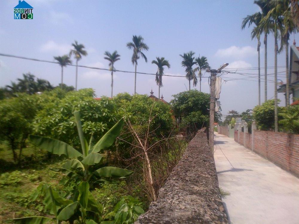 Hình ảnh Thiên Hương, Hải Phòng