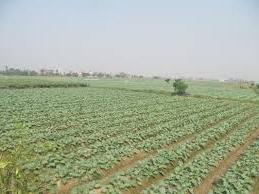 Hình ảnh Trường Tân, Hải Phòng